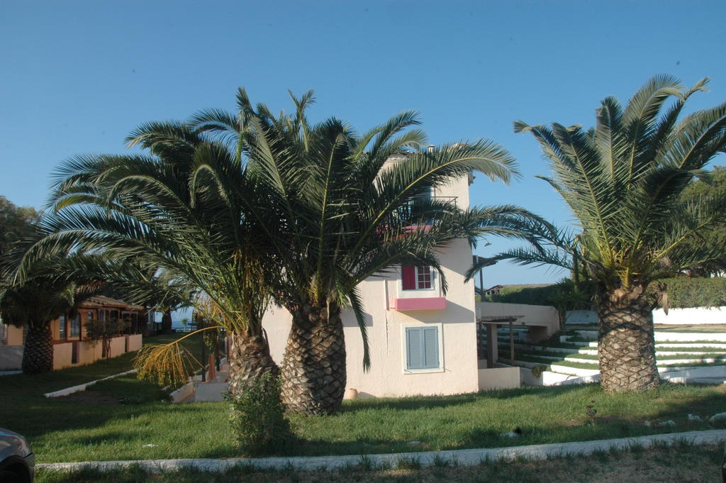Koralli Beach Niforeika Exteriör bild
